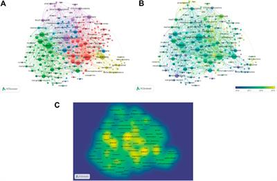 Trends in Piezo Channel Research Over the Past Decade: A Bibliometric Analysis